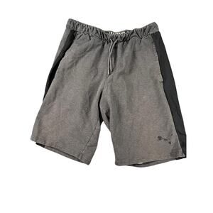 Puma men’s gray size large shorts, good condition